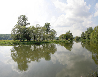 夏季景观