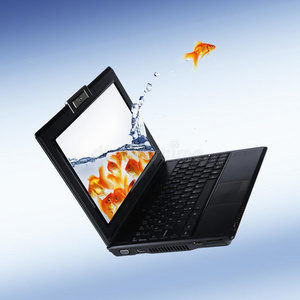 金鱼和笔记本电脑