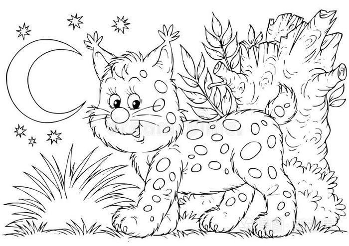 山猫插画-正版商用图片0jlss8-摄图新视界