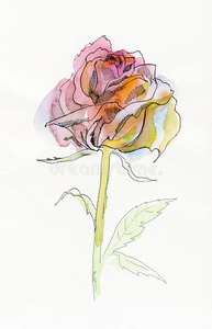 文化 艺术 花的 分支 素描 插图 美女 墨水 夏天 书法