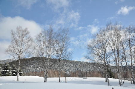 雪地