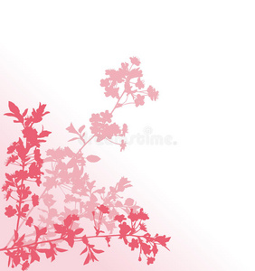 三个粉红色樱花枝插图