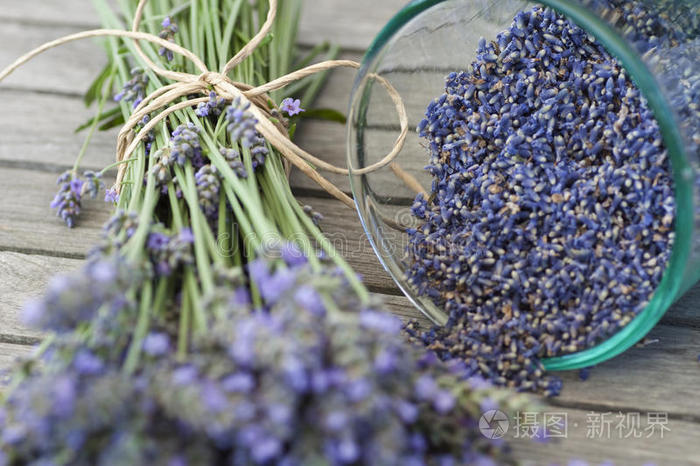 薰衣草种子