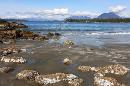 在海滩上开始回流