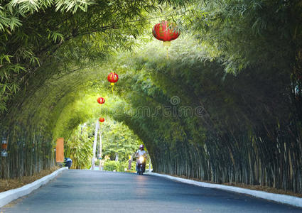 中国红灯笼绿拱