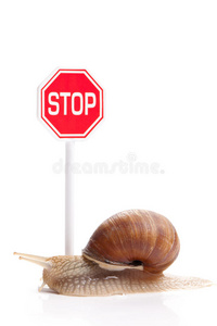 花园蜗牛停车标志