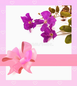 紫罗兰带花