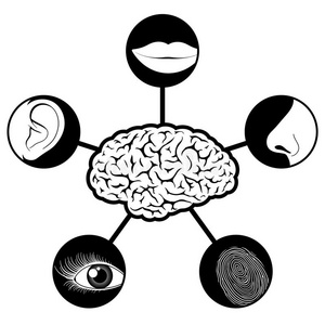 大脑控制的五官图标图片