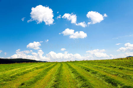 田野与天空