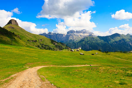 高山绿色高原景观