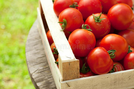 盒子里的西红柿