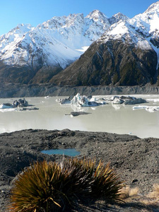 新西兰塔斯曼冰川湖上的冰山图片