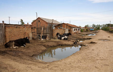 住房条件差照片