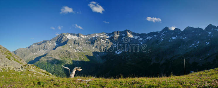 高山全景