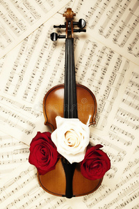 带音符和玫瑰的旧小提琴图片