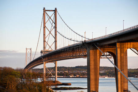 横跨路斑马图片