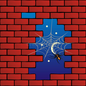 砖墙蜘蛛