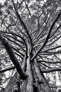 崇高的图片 崇高的素材 崇高的插画 摄图新视界 崇高的图片 崇高的素材 崇高的插画 摄图新视界