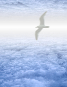 静谧云景中的鸟图片