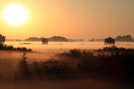 雾蒙蒙的早晨美丽的景色