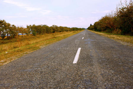 覆盖沥青的乡村道路图片