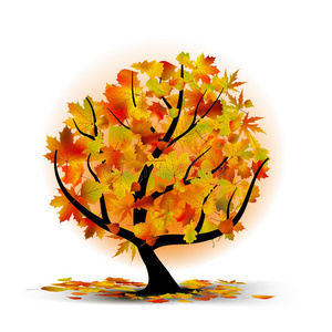 五颜六色的秋树