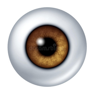眼珠图片-眼珠素材-眼珠插画-摄图新视界