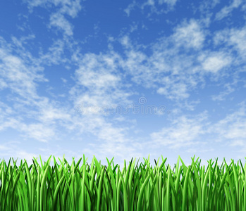天空背景的草绿色草坪