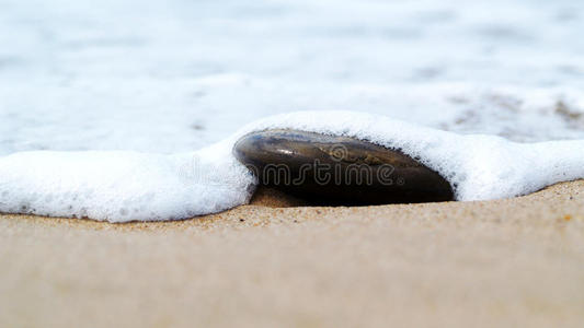 海滩上的波浪覆盖石