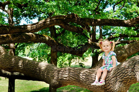 快乐可爱的女孩坐在大树上图片