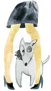 狗和女人的脚踩在高跟鞋上.照片