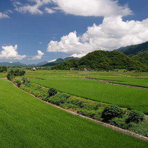 乡村风光