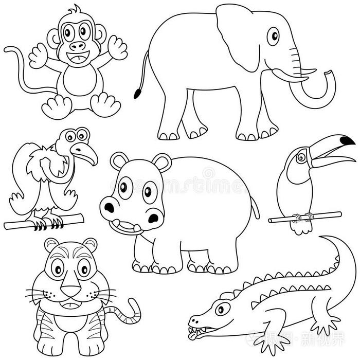 给非洲动物上色2