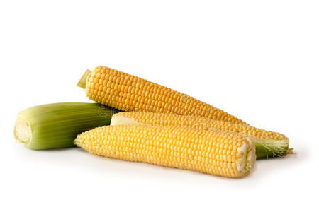 白色背景上的玉米。