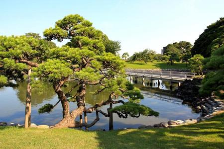 日本东京滨桥花园