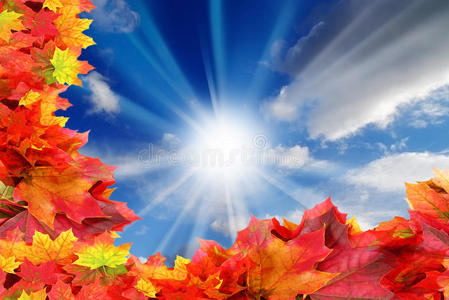蓝天和秋天的树叶框架