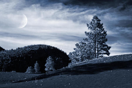 高山树木与月亮图片