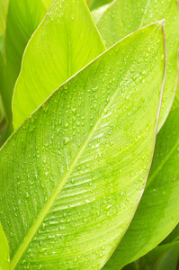 雨后