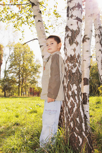 公园里树上的小男孩