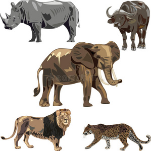 非洲五大野兽
