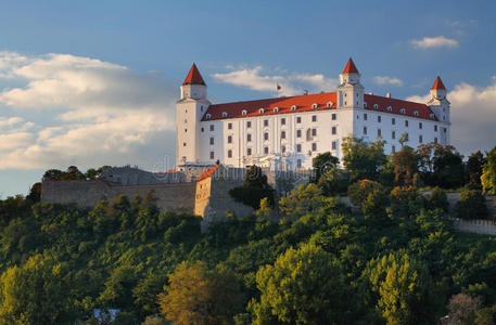 布拉迪斯拉发城堡详图