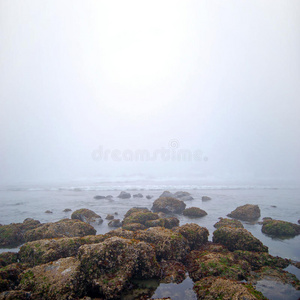 雾白色的海岩
