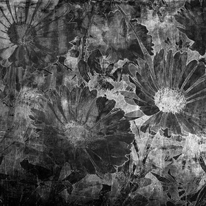 斑驳草甸无缝模式鲜花和旧纸张木材纹理背景与 copyspace纹理的印花