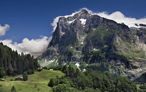 瑞士格林德瓦尔德高山乡村景观