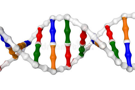 dna螺旋白色背景