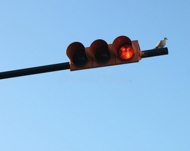 红灯图片-红灯素材-红灯插画-摄图新视界