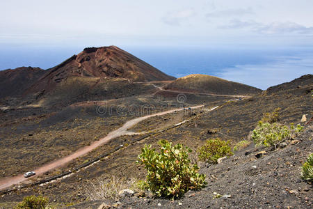 穿过拉帕尔马火山景观的道路