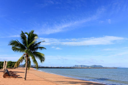 海滩椰子和蓝天