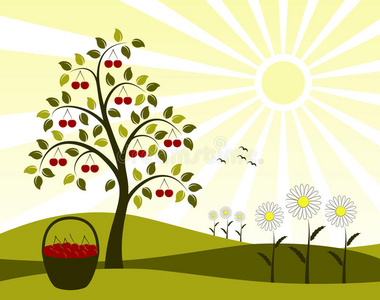 樱桃树和水果图片-樱桃树和水果素材-樱桃树和水果插画-摄图新视界