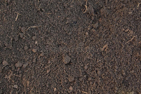 腐殖土类型叶花在勺子和粘土杯子,白色上孤立的集合拼贴画维持服务